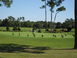 Golf - North Topsail